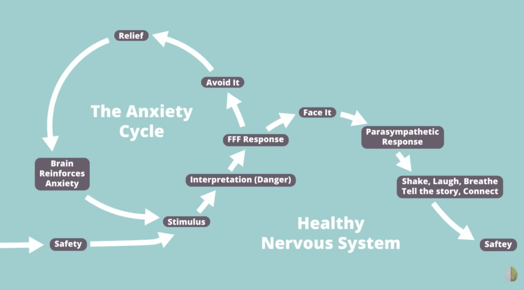 Healthy Nervous System Vs The Anxiety Cycle system